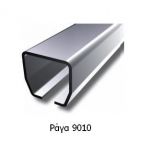 Ράγα Γαλβανιζέ 9010